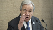 FN-chefen: "Anställda ska ställas till svars"