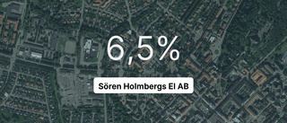 Här är siffrorna som visar hur det gick för Sören Holmbergs El AB senaste året