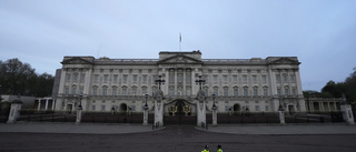 Klättrade över staket till Buckingham Palace