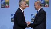 Stoltenberg tog upp Sverige med Erdogan
