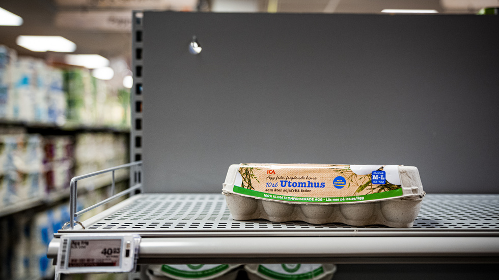 Sedan januari i år har det varit äggbrist i Sverige – nu tvingas livsmedelsindustrin importera ägg från Nederländerna.