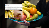 Gotlänningarnas bästa knep: Så blir vi kvitt bananflugorna