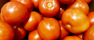 Regionen: Nu går lokala tomater före ekologiska