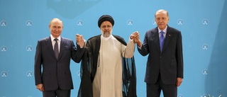 Putin hyllar "affärsmässigt" Teheranmöte