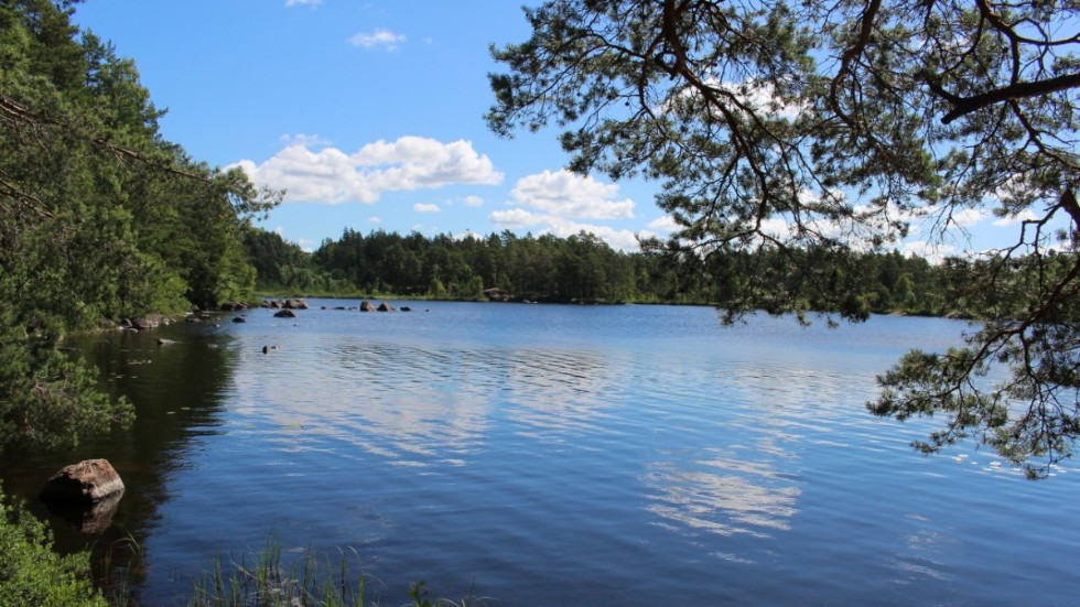 Utsikten från Stora Hammarsjöns naturcamping bjuder bland annat på det här.