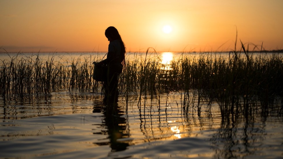 En övergiven sjuårig flicka måste försörja sig genom att plocka musslor i NorthCarolinas våtmarker, i "Där kräftorna sjunger". Pressbild.