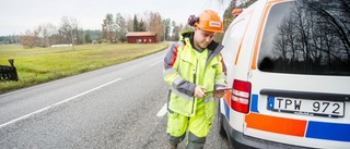 På jakt efter träd i riskzonen