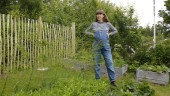 Odlaren Vanilla ser trädgården som ett kretslopp – använder guldvatten som gödning: "Jag samarbetar med jord och växter"