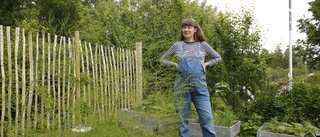 Odlaren Vanilla ser trädgården som ett kretslopp – använder guldvatten som gödning: "Jag samarbetar med jord och växter"