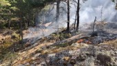 Skogsbrand över stort område utanför Gnesta: "Det är så otroligt torrt i markerna"