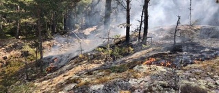 Skogsbrand över stort område utanför Gnesta: "Det är så otroligt torrt i markerna"