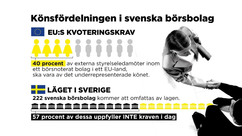 Könsfördelning i svenska börsbolag.