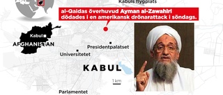 USA: Vi sköt al-Qaida-ledaren på balkongen