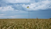 Hemligheten bakom Ukrainas bördiga jord