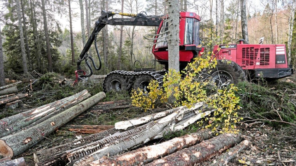 Miljöpartiet tar inte hänsyn till ekonomin för skogsägaren. Få skogsägare idag kan jobba med hyggesfritt skogsbruk; de flesta är beroende av dyra maskiner, menar insändarskribenten.