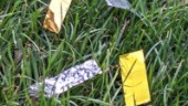 Insändare: En ljusnande framtid fylld av plastkonfetti