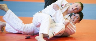 Stora framgångar i Polen för Oxelösunds Judoklubb