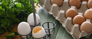 Matjättar återkallar ägg – larm om salmonella