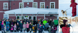 Kraftfull demonstration i Glommersträsk