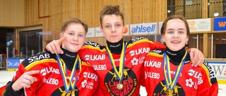 Luleå Hockey vann finalen i Lilla VM