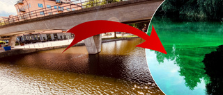 Förvandlingen: Nu kan vattnet i Eskilstunaån bli grönt
