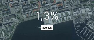 Här är siffrorna som visar hur det gick för Ibat AB under 2023