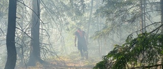 Skogsbrand – mitt under SMHI:s extremvarning: "Vi är på tårna"