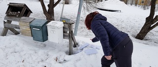 Flera bybor får post i snödrivan