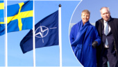 ”Gotland blir centrum för Nato i norra Europa”