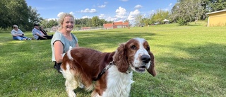 (Hund)ratals tävlade i Gamleby