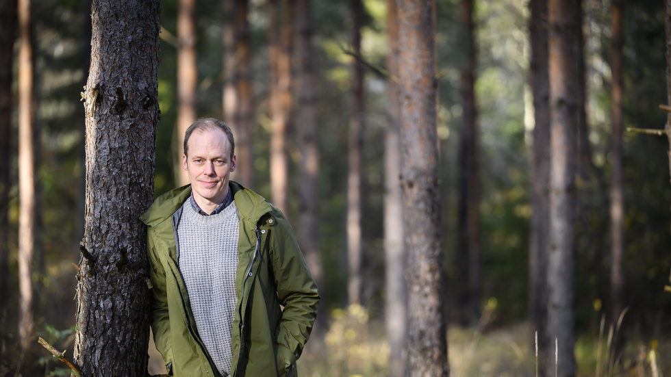 Jimmy Åkerfeldt, stiftsdirektor i Strängnäs stift, besvarar Naturskyddsföreningen i Flens insändare om skogen i Hälleforsnäs.