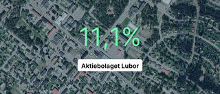 Aktiebolaget Lubor: Siffrorna från gångna året