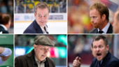 Podd: Så ser vi på Luleå Hockeys beslut – och alternativen