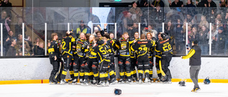 Här är Vimmerby Hockey senaste nyförvärv: "In med skånskt blod"