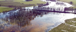 SMHI varnar: Höga flöden i östgötskt vattendrag 