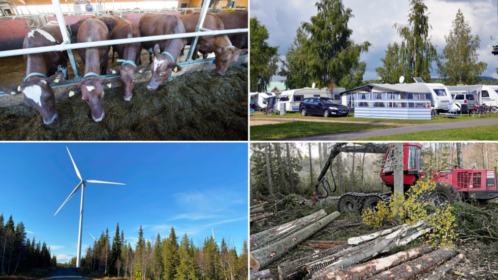 Västerbottens landsbygder bidrar med mat, rekreation, energi, råvaror och mycket mer.