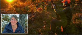 Jägareförbundet i Arjeplog om minskade älgtilldelningen: "Man måste skjuta kalvar för att få en bra älgstam"