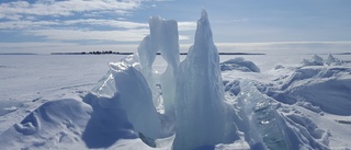 Så blir utställningen på isen i Luleå skärgård