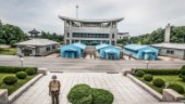 Flydde Nordkorea – återvände misstänkt smittad