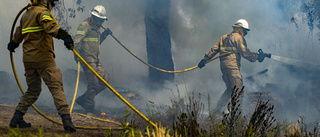 Hundratals bekämpar skogsbränder i Portugal
