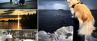 Här är läsarnas inskickade sommarbilder från vecka 31