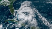 Tropiska stormen Isaias hotar Florida
