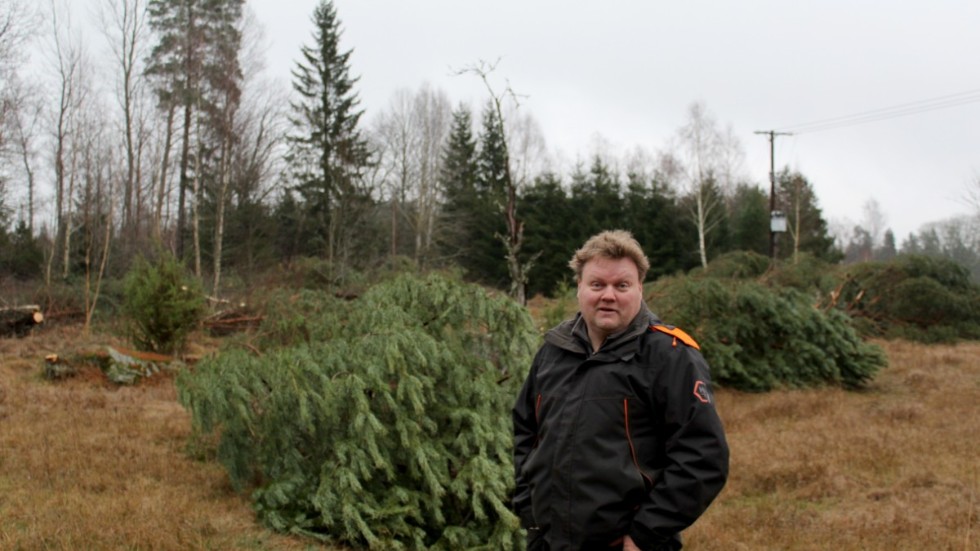 "Vi kör ihop det och sen går det till flisning sen efter att det legat och torkat till. Vart det sen hamnar beror sig på vilket värmeverk som behöver flis just den dagen." säger Ronnie Adolfsén. 