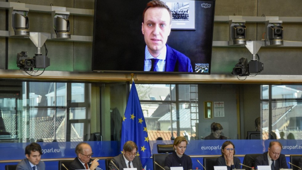 Aleksej Navalnyj vid ett framträdande, via länk, inför EU-parlamentet. Arkivbild.