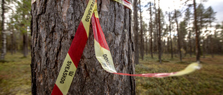 Miljörörelsen i Norrbotten borde vårda sitt anseende