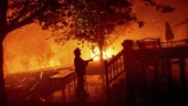 Tusentals flyr skogsbränder i Kalifornien