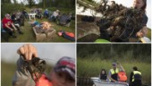 Fina fångster under kräftfiskepremiären i Råneå