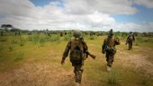 Minst tio somaliska soldater dödade i bakhåll
