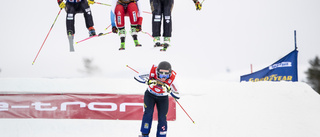 Sverige kan få VM i ski- och snowboardcross