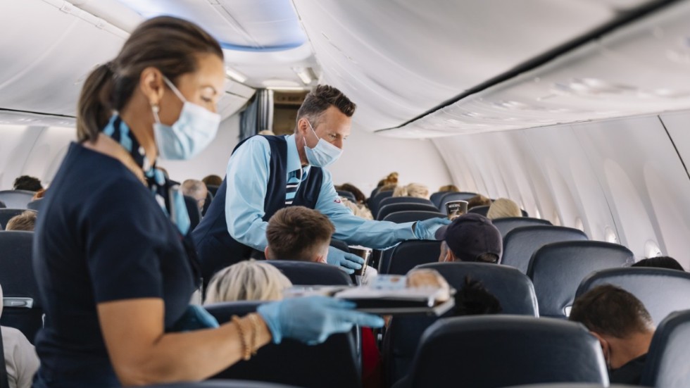 På bilden från i början av juli delar kabinpersonal ut mat på ett charterplan på väg till Rhodos.
